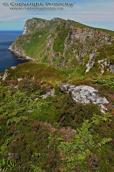 Ostrov Runde, Ostrov Runde, Autor: Ondřej Prosický, Fotoaparát: Canon EOS 20D, Objektiv: Canon EF 17-40mm f/4 L USM, polarizační filtr, stativ Gitzo G1227 + G1377, Ohnisková vzdálenost (EQ35mm): 33.60mm, ostřeno manuálně, Clona: 9.0, Doba expozice: 1/60 s, ISO: 100, Vyvážení expozice: +1/3 EV, Režim měření expozice: celopločné, Blesk: Ne, Vytvořeno: 4. července 2006 13:00, ostrov Runde (Norsko)