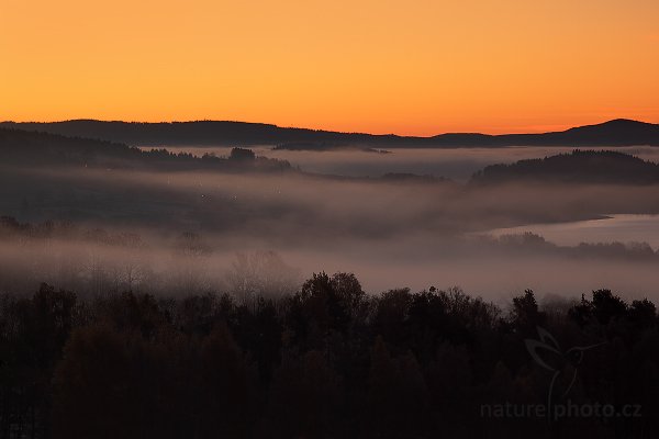 Raní mlha nad Lipnem, Šumava, Ranní mlhy nad Lipnem Kousínek před Horní Planou, Autor: Ondřej Prosický | NaturePhoto.cz, Model: Canon EOS 5D Mark II, Objektiv: Canon EF 200mm f/2.8 L USM + PL filtr Hoya + LEE ND 0.9 H, Ohnisková vzdálenost (EQ35mm): 200 mm, stativ Gitzo, Clona: 7.1, Doba expozice: 1.6 s, ISO: 100, Kompenzace expozice: 0, Blesk: Ne, Vytvořeno: 30. října 2010 7:23:29, Prachaticko, Šumava (Česko)