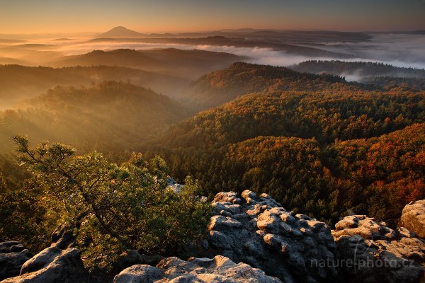 Mlhavá podzimní krajina v Českém Švýcarsku, Autor: Ondřej Prosický | NaturePhoto.cz, Model: Canon EOS 5D Mark II, Objektiv: Canon EF 17-40mm f/4 L USM, Ohnisková vzdálenost (EQ35mm): 17 mm, stativ Gitzo, Clona: 14, Doba expozice: 0.3 s, ISO: 100, Kompenzace expozice: 0, Blesk: Ne, Vytvořeno: 10. října 2010 7:39:27, NP České Švýcarsko (Česko) 