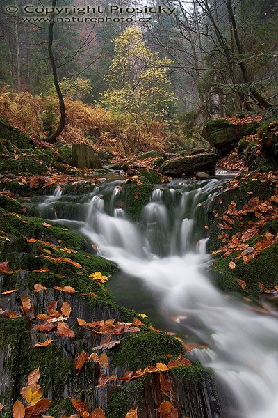 Černohorský potok III. (Krkonoše), Autor: Ondřej Prosický, Model aparátu: Canon EOS 20D, Objektiv: Canon EF 17-40mm f/4 L USM, stativ Manfrotto 190B + 141RC, Ohnisková vzdálenost: 17.00 mm, Režim měření expozice: Parciální, Clona: 11.00, Doba expozice: 10.0 s, ISO: 100, Vyvážení expozice: 0.33, Blesk: Ne, Vytvořeno: 5. listopadu 2005 12:17:11, Černohorský potok, Krkonoše (ČR)