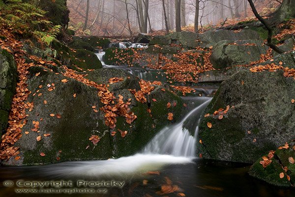 Černohorský potok VII. (Krkonoše), Autor: Ondřej Prosický, Model aparátu: Canon EOS 20D, Objektiv: Canon EF 17-40mm f/4 L USM, sManfrotto 190B + 141RC, Ohnisková vzdálenost: 28.00 mm, Režim měření expozice: Vzorek, Clona: 8.00, Doba expozice: 2.0 s, ISO: 100, Vyvážení expozice: -0.33, Blesk: Ne, Vytvořeno: 5. listopadu 2005 15:14:12, Černohorský potok, Krkonoše (ČR)