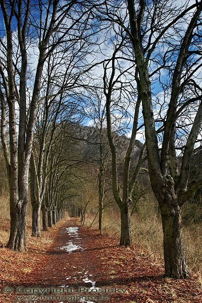 Na konci zimy, Autor: Ondřej Prosický, Model aparátu: Canon EOS 20D, Objektiv: Canon EF 17-40mm f/4 L USM, přechodový filtr Cokin P121F, stativ Gitzo G1227 + G1377, Ohnisková vzdálenost: 17.00mm, ostřeno manuálně, Clona: 13.00, Doba expozice: 1/2 s, ISO: 100, Vyvážení expozice: +1/3 EV, Blesk: Ne, Vytvořeno: 19. února 2006 12:50, Svatý Jan pod Skalou, Beroun (ČR)